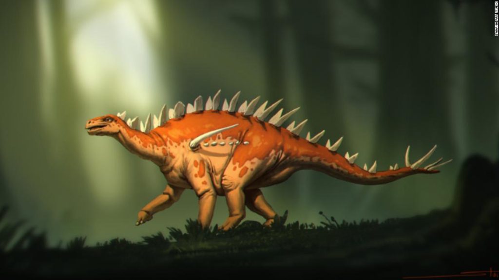 Keşfedilen Stegosaurus fosillerinin 'garip özellik karışımı' var