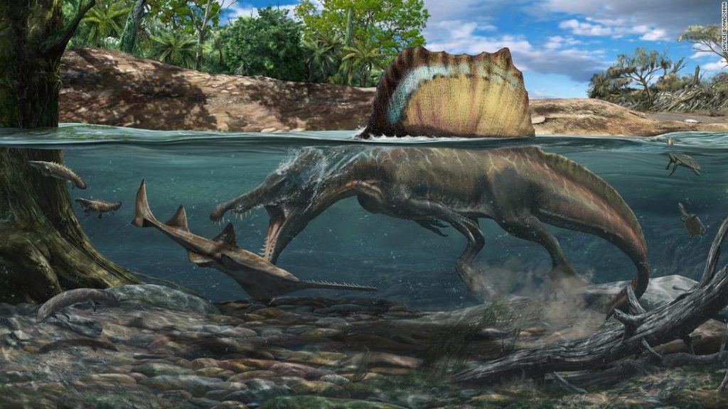 T. rex'ten daha büyük bir dinozor yüzdü ve su altında avlandı