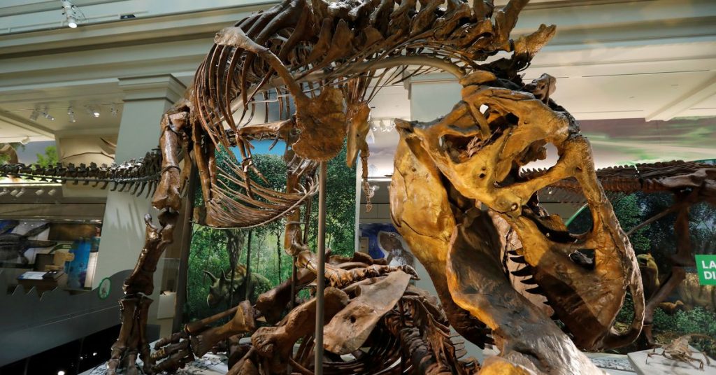 Bilim adamları, Tyrannosaurus'un sadece 'Rex' değil, üç türü olduğunu öne sürüyor