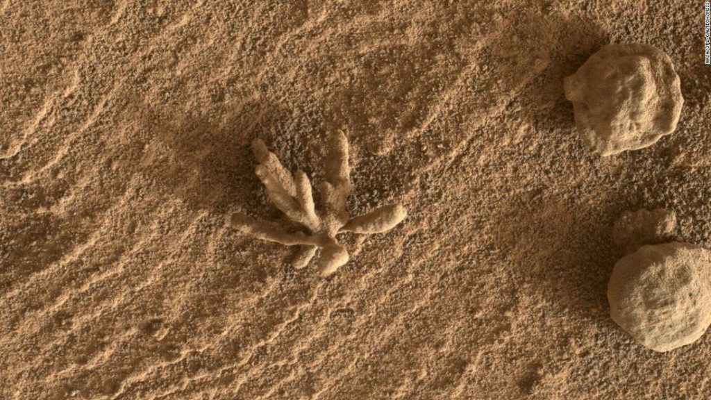Mars'ta Curiosity gezgini tarafından tespit edilen küçük bir "çiçek" oluşumu