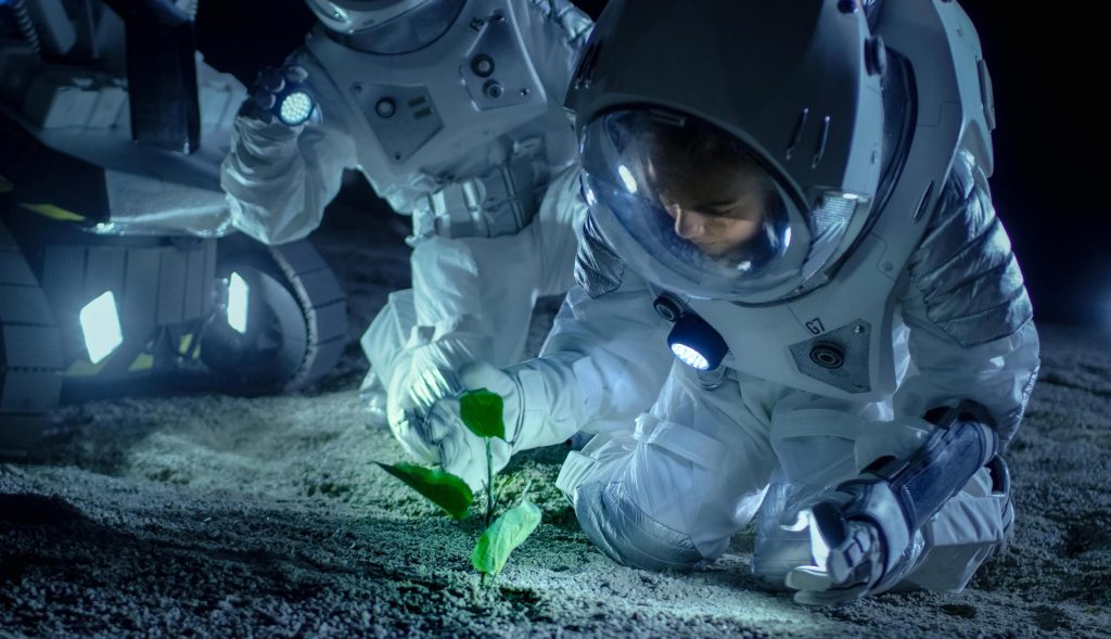 Bilim adamları ay toprağında bitki yetiştiriyor - insanlık tarihinde ilk kez