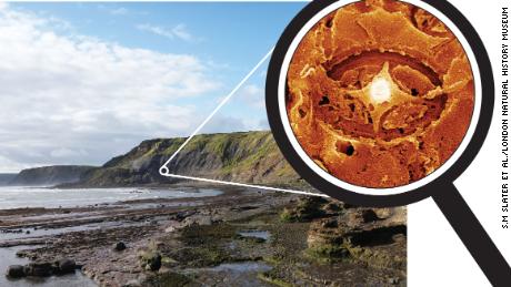İngiltere, Yorkshire'daki Jurassic kayalarından bazı hayalet nanofosiller kurtarıldı.