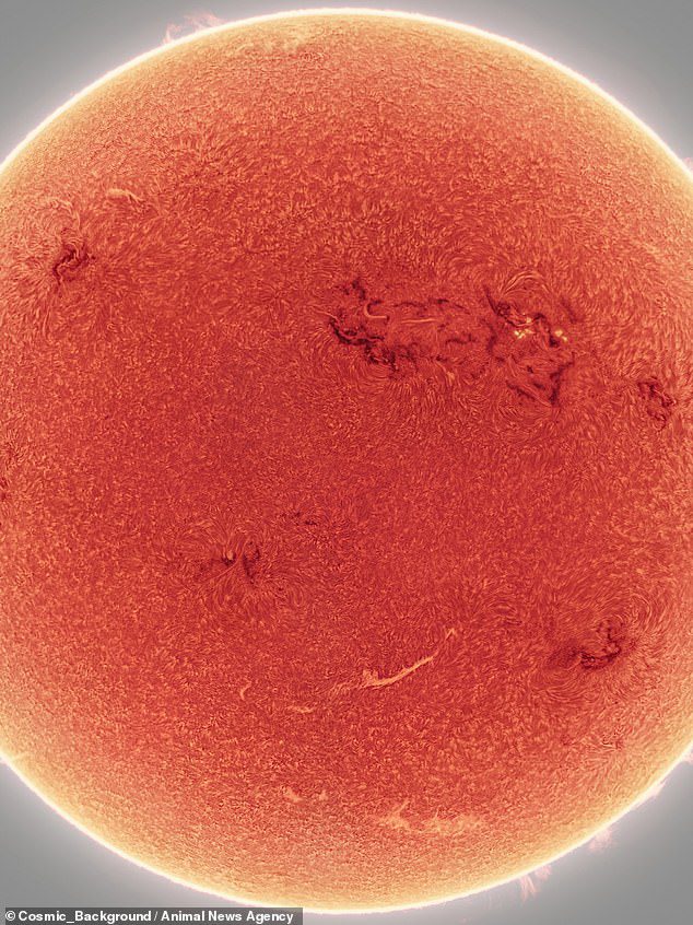 Görüntü, Güneş yüzeyindeki aktif bölgeler olarak bilinen karanlık noktaların yanı sıra ateş topundan çıkan parlak güneş lekelerini de yakalar.