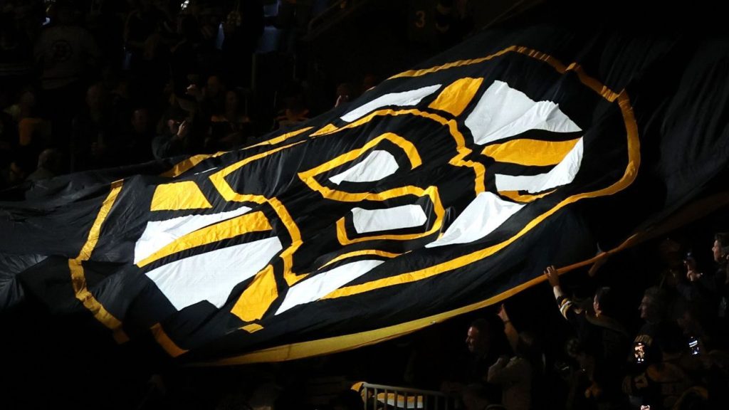 Boston Bruins ve Carolina Hurricane arasındaki serinin Üçüncü Maçı sırasında bir NHL yetkilisi buzdan yaralandı