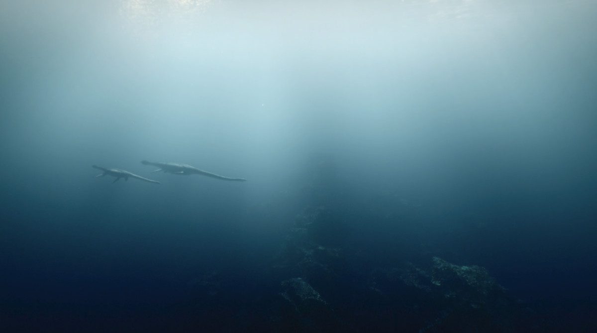 İki Touareg, puslu bir deniz manzarasında birlikte yüzüyor