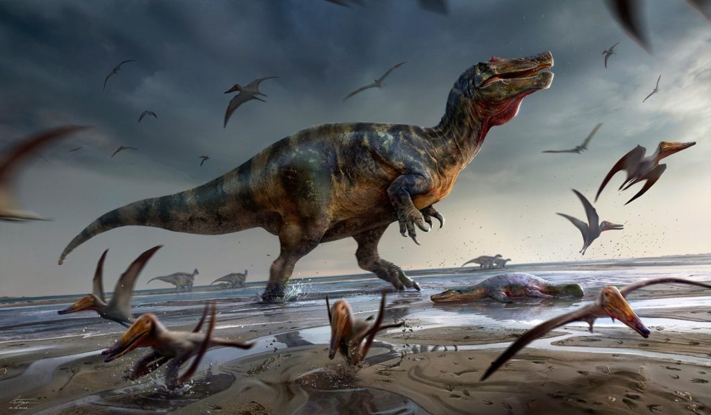 Avrupa'nın en büyük yırtıcı dinozorunun Wight Adası'nda keşfi