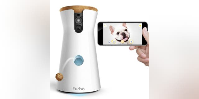 Forbo köpek kamerası.  Furbo'nun en yeni evcil hayvan kamerası size 360 ​​derecelik görüşler sunar.  Bu podcast'te, yedi heyecan verici yeni iOS 16 özelliği ve aksiyon fotoğrafçılığı tüyosu hakkında bilgi sahibi oldum. 