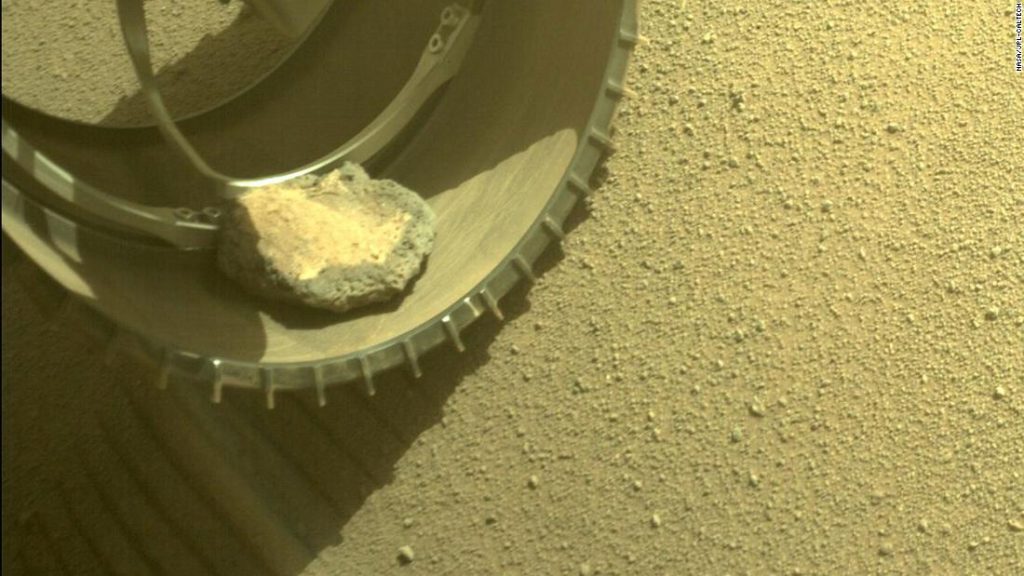Perseverance'ın Mars'taki yeni arkadaşı bir evcil hayvan kayası