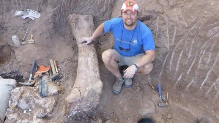 Paleontolog Peter Makovicki, Arjantin, Patagonya'nın kuzeyindeki bir kazı alanında dinozor fosillerini inceliyor