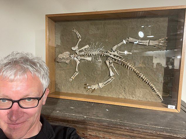 54 yaşındaki adam (fotoğrafta Tom Holland), 97.5 ila 119 milyon yaşındaki bir Psittacosarus (papağan kertenkelesi) iskeleti hakkında bir sunum yapmak için babasıyla birlikte Walts, Salisbury'deki Woolley & Wallis'teki satışa gitti. .