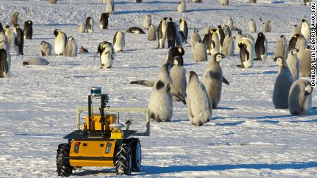 Antarktika'da bir penguen kolonisinde bir robot yaşıyor.  onları kurtarmaya çalışıyor