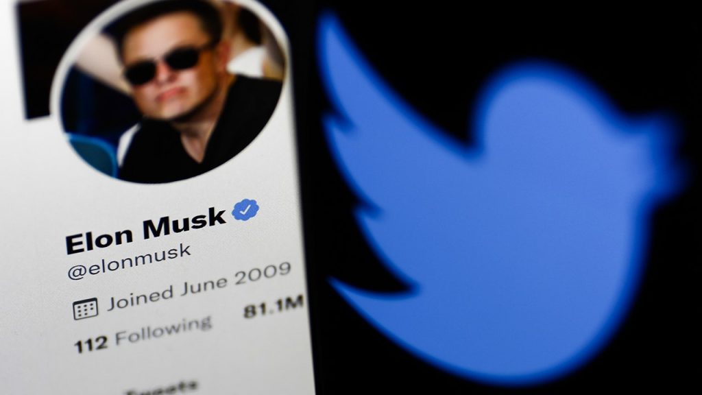 Elon Musk, kullanıcı verileri onaylandıktan sonra Twitter anlaşmasının devam edebileceğini söyledi