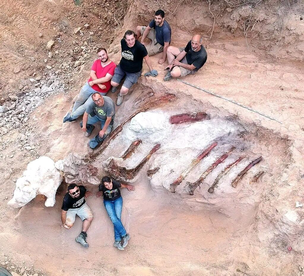 Ağustos ayında paleontologlar 10 metrelik kaburga topladılar.  