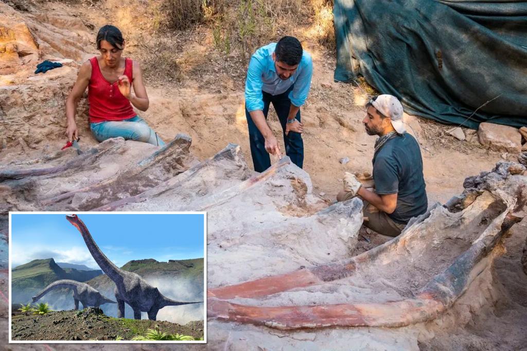 Portekiz'de bir adamın arka bahçesinde 82 metrelik bir dinozor iskeleti bulundu.