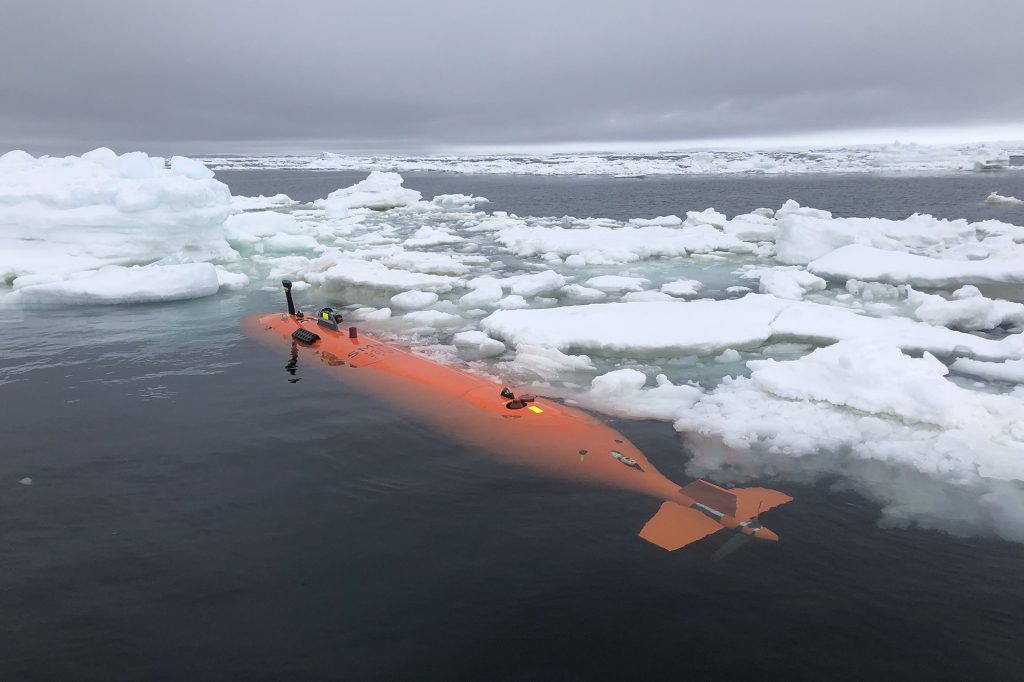 Bu yılın başlarında, uluslararası bir bilim insanı grubu, erozyonu durdurmaya yardımcı olmak amacıyla buzulu incelemeye çalıştı.