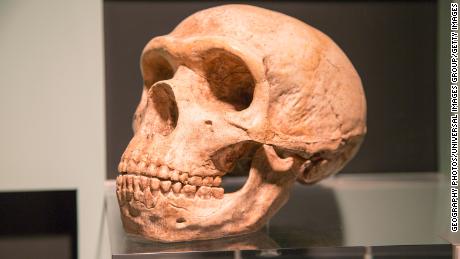 DNA Neandertal, Covid-19 riski de dahil olmak üzere insan sağlığını nasıl etkiler?