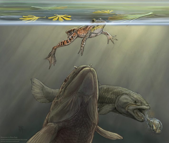Su yüzeyindeki habersiz bir kurbağaya yaklaşan tarih öncesi bir balığın ve arka planda bir kurbağayı fırlatan başka bir balığın illüstrasyonu