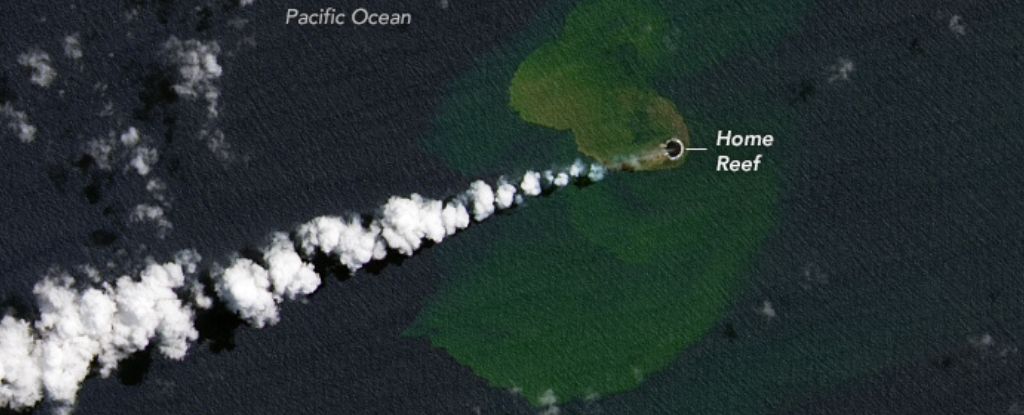 Bir sualtı volkanik patlamasının ardından Pasifik Okyanusu'nda yeni bir ada ortaya çıktı: ScienceAlert