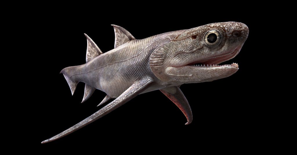 Fosilleşmiş balıklar, daha önce bilinen en eski 'çeneleri' ortaya çıkarır