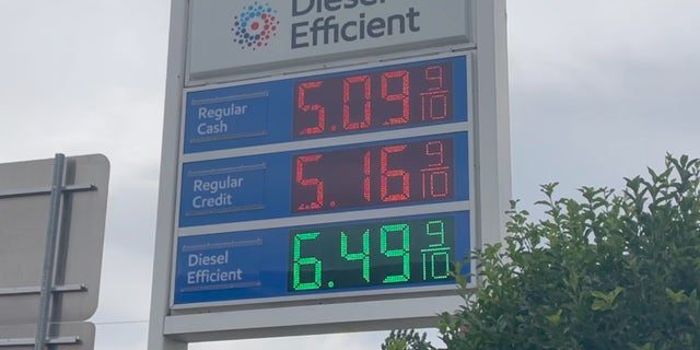 New Jersey benzin istasyonu fiyatları (Megan Myers / Fox News Digital)